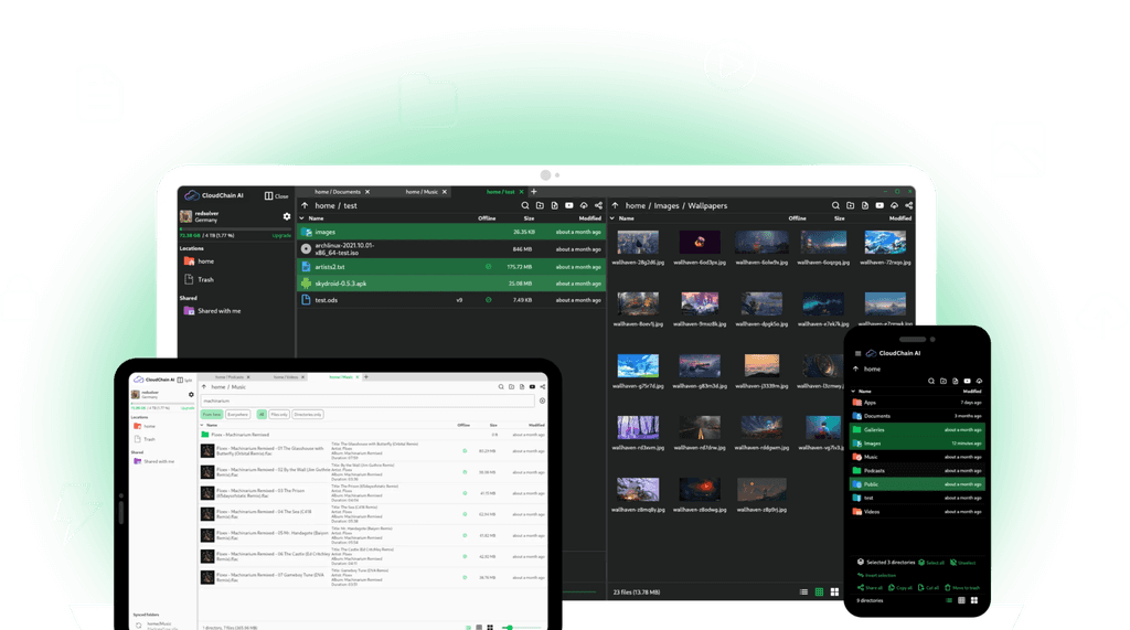CloudChain AI decentralized storage